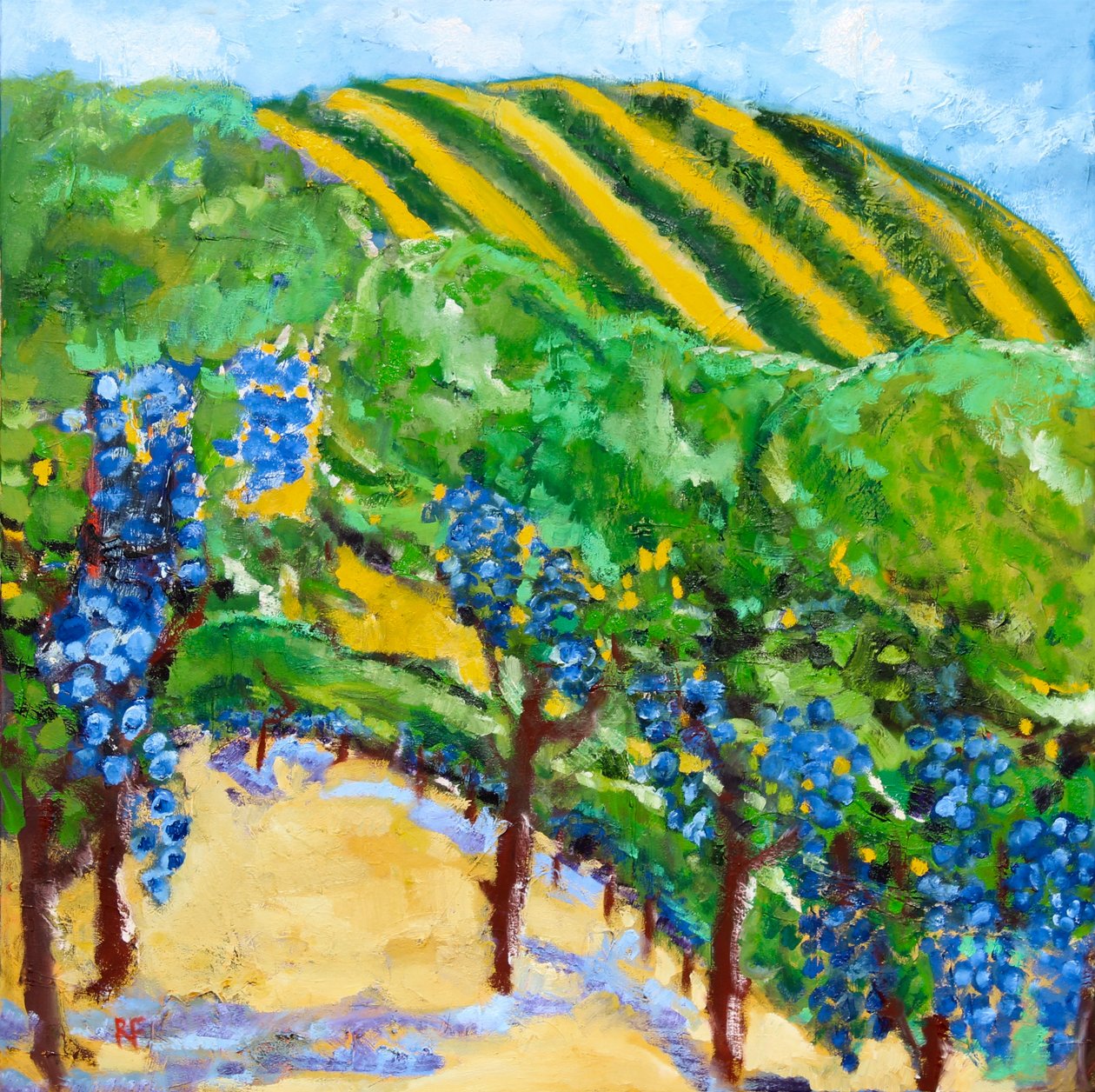Vineyard e Rolling Hills, 2019 de Richard Fox