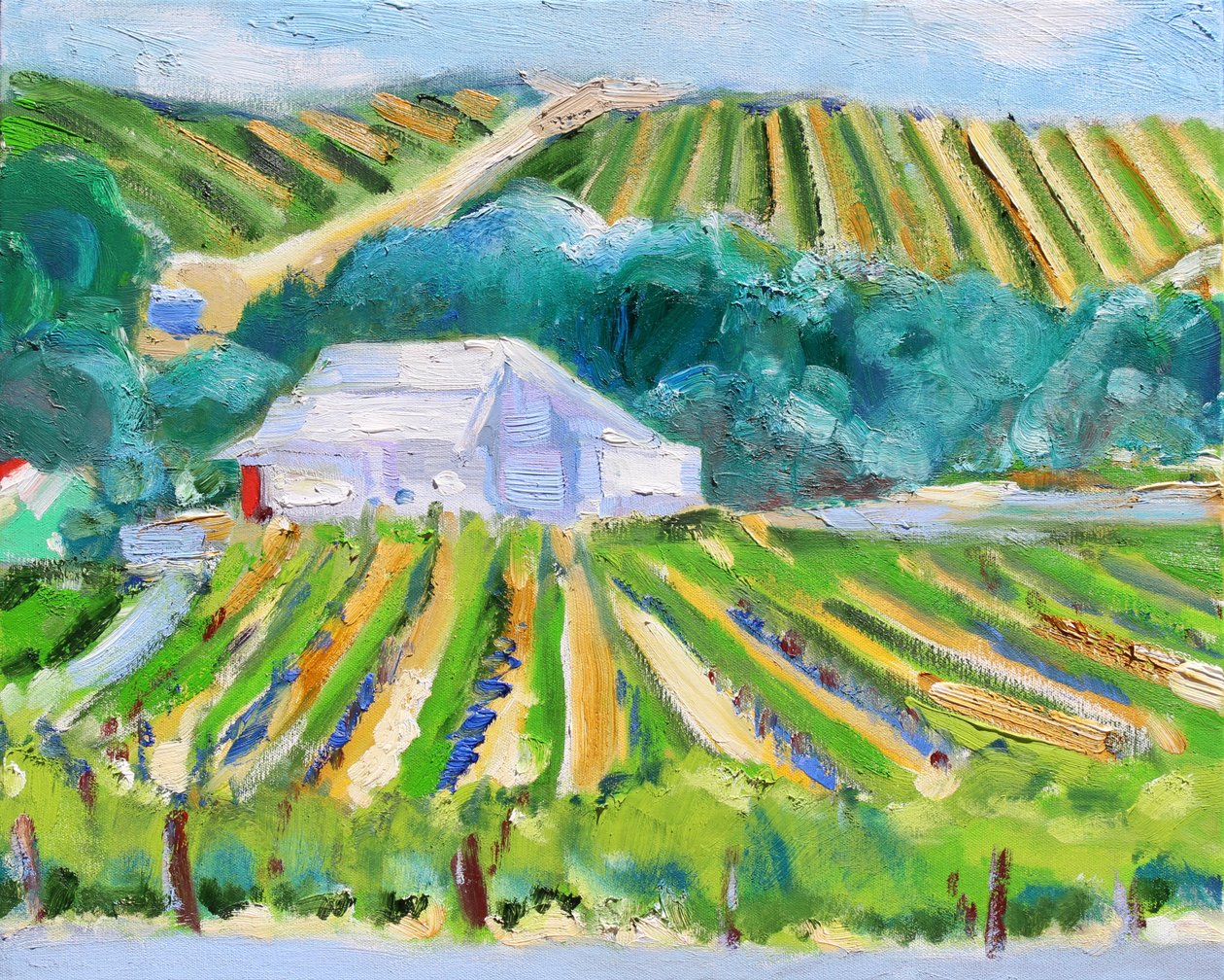 White Barn and Vineyard, Napa, 2019 de Richard Fox