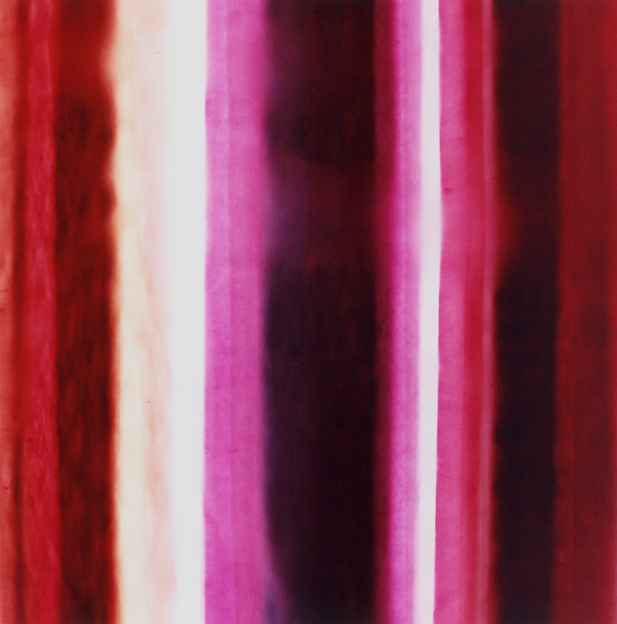 Stripe XIII, 2005 de Richard Green