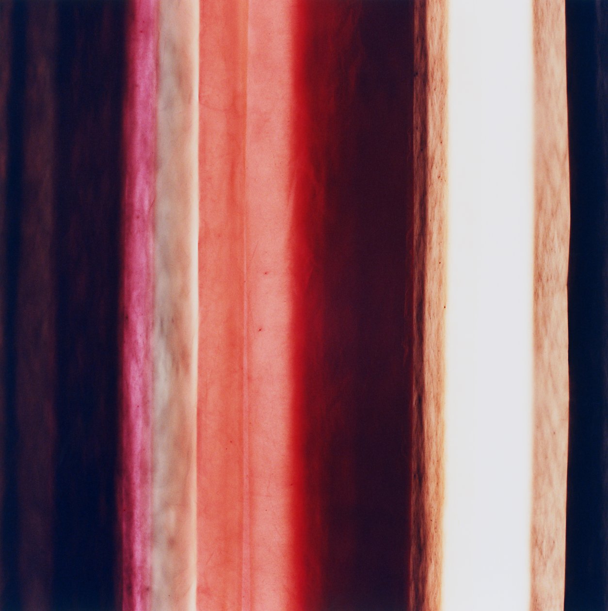 Stripe XI, 2005 de Richard Green