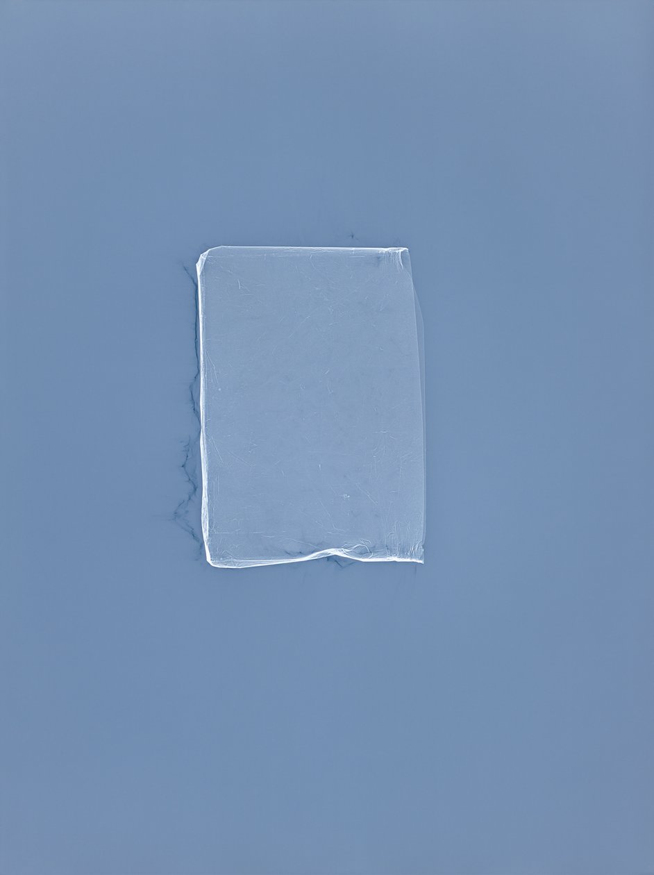 Sem título, 2001 de Richard Green