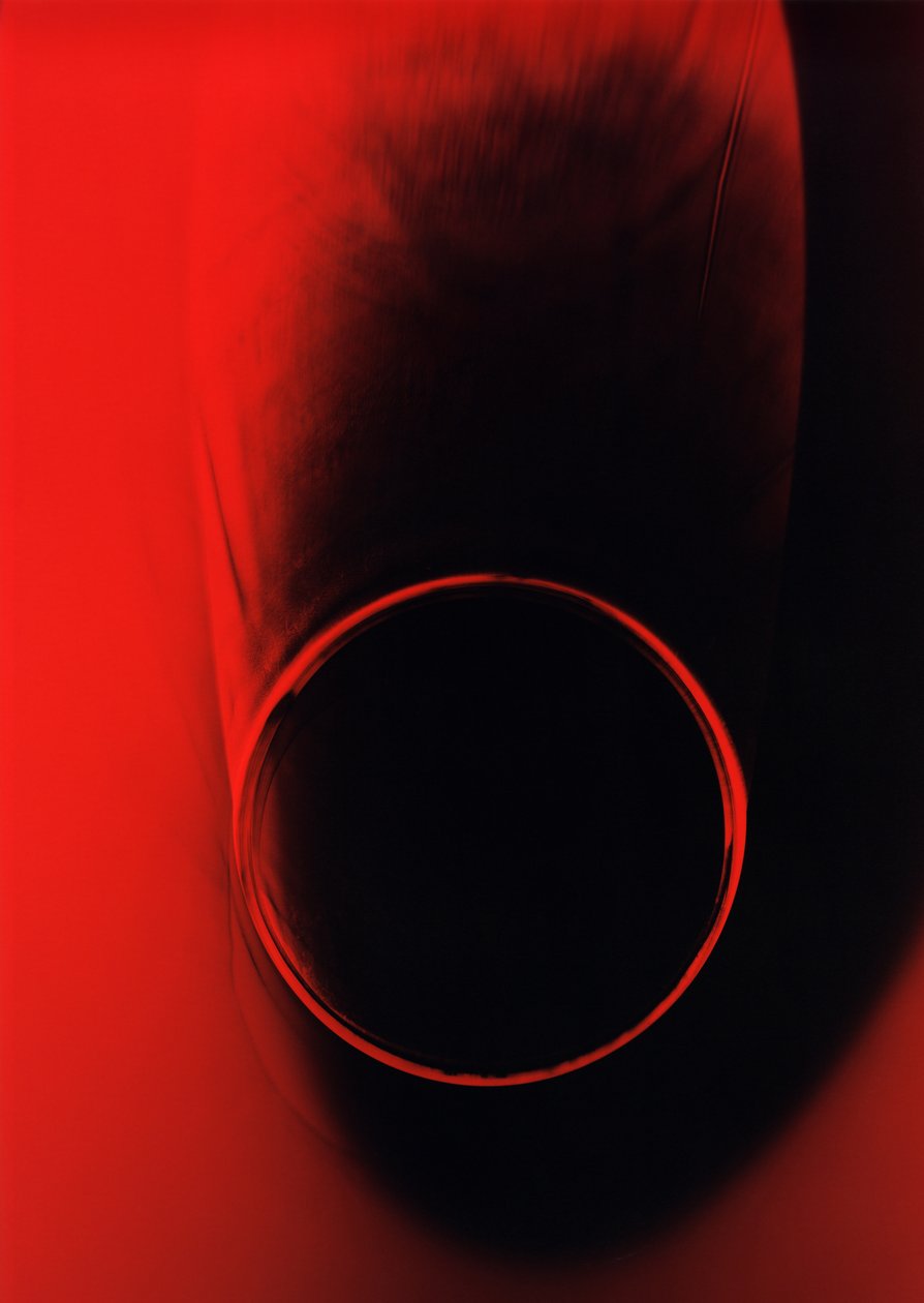 Sem título, 2003 de Richard Green