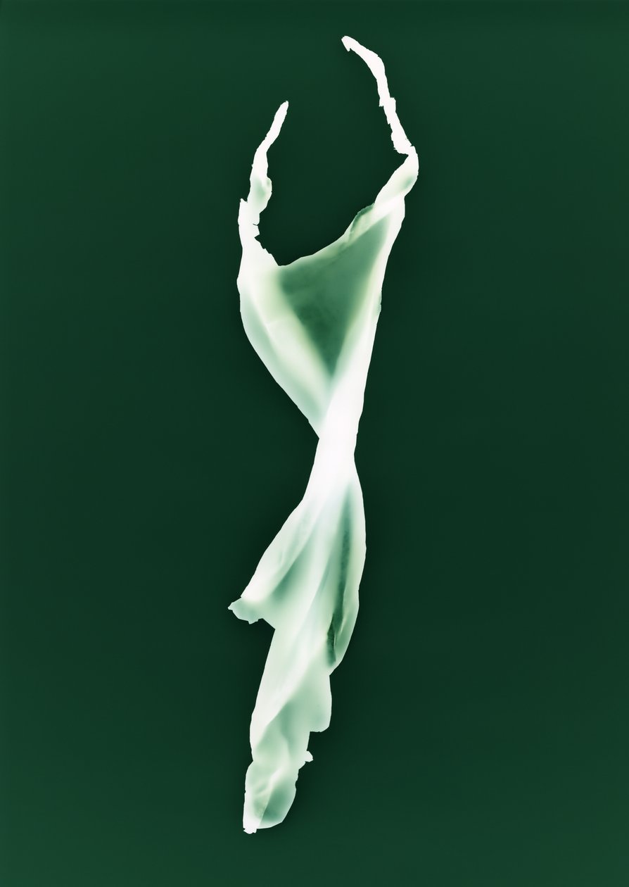 Sem título, 2004 de Richard Green