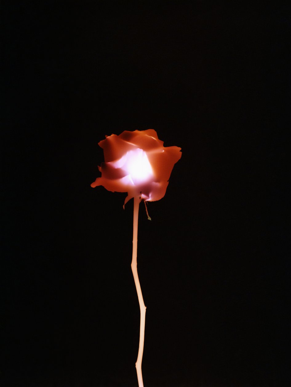 Sem título, 2007 de Richard Green
