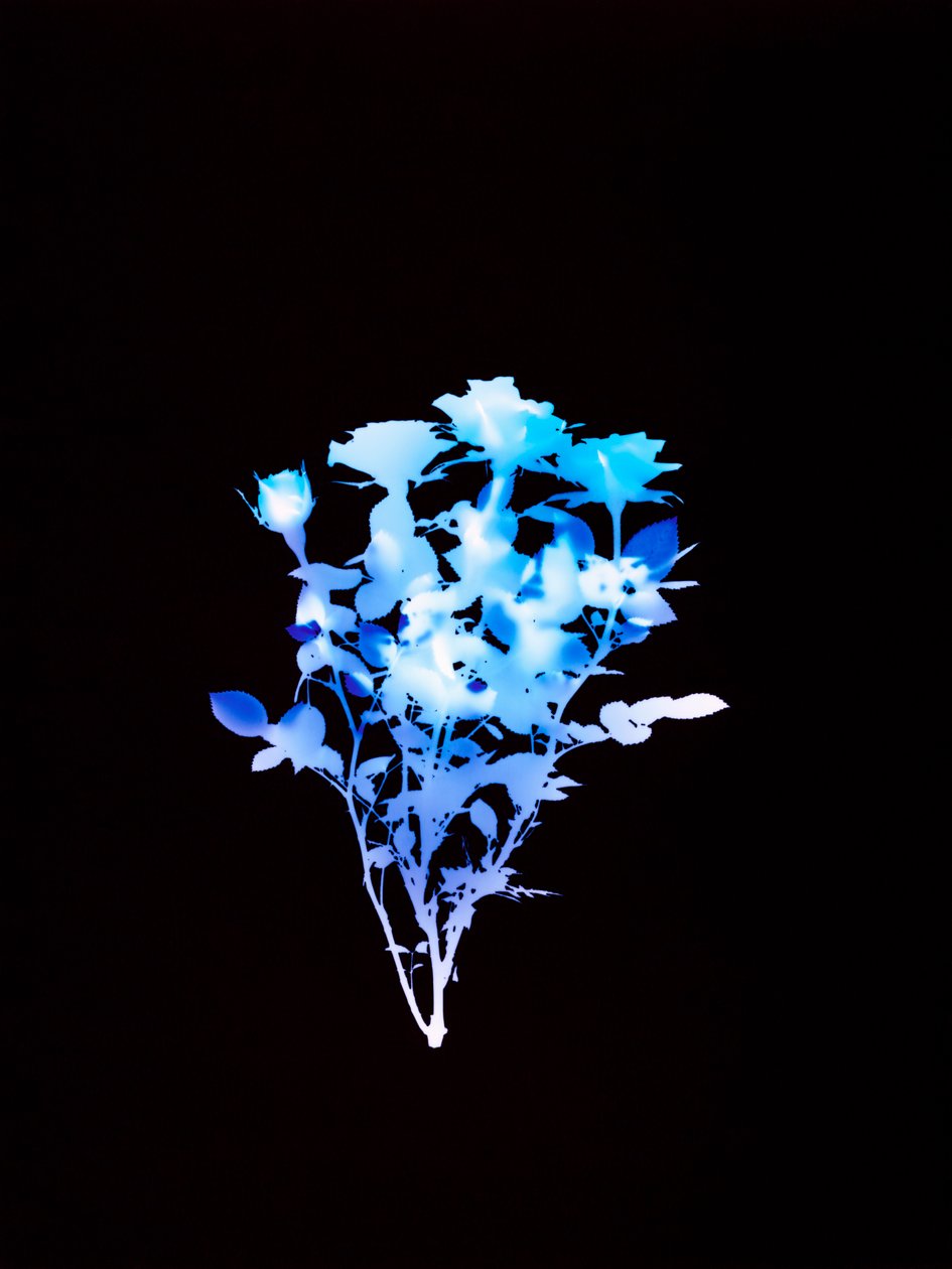 Sem título, 2008 de Richard Green
