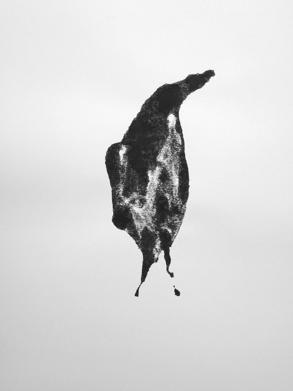 Sem título, 2009 (monotipia) de Richard Green