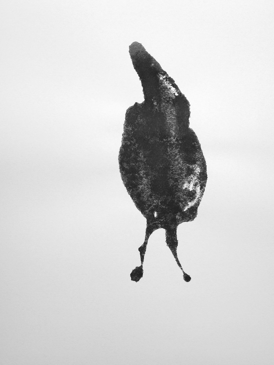 Sem título, 2009 (monotipia) de Richard Green