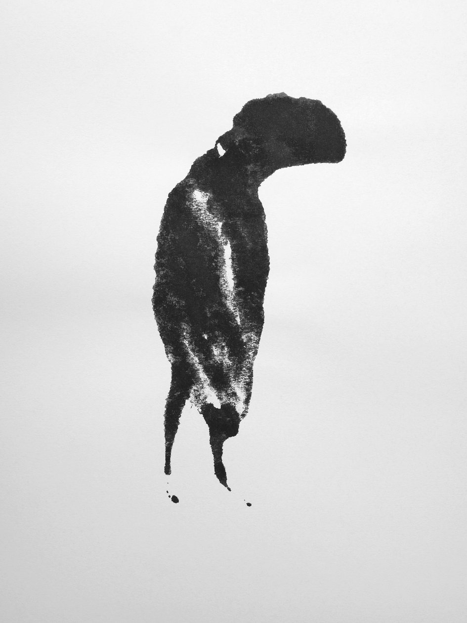Sem título, 2009 (monotipia) de Richard Green