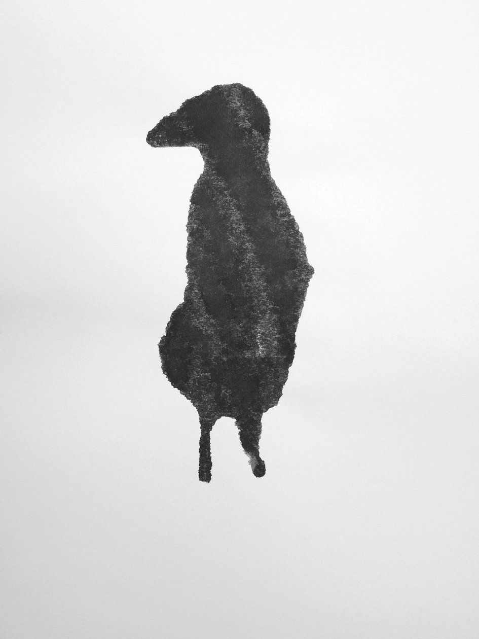 Sem título, 2009 (monotipia) de Richard Green