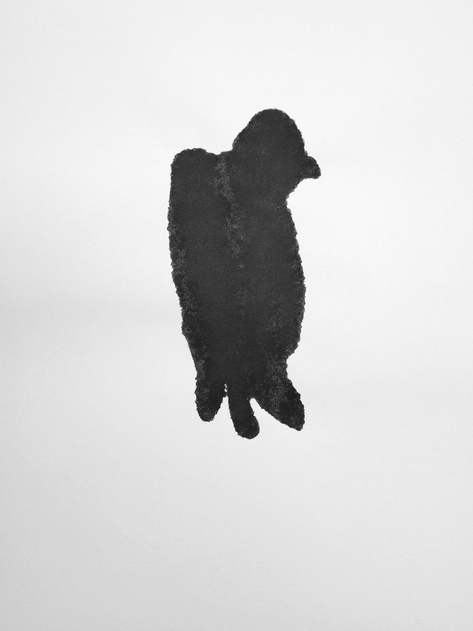Sem título, 2009 (monotipia) de Richard Green
