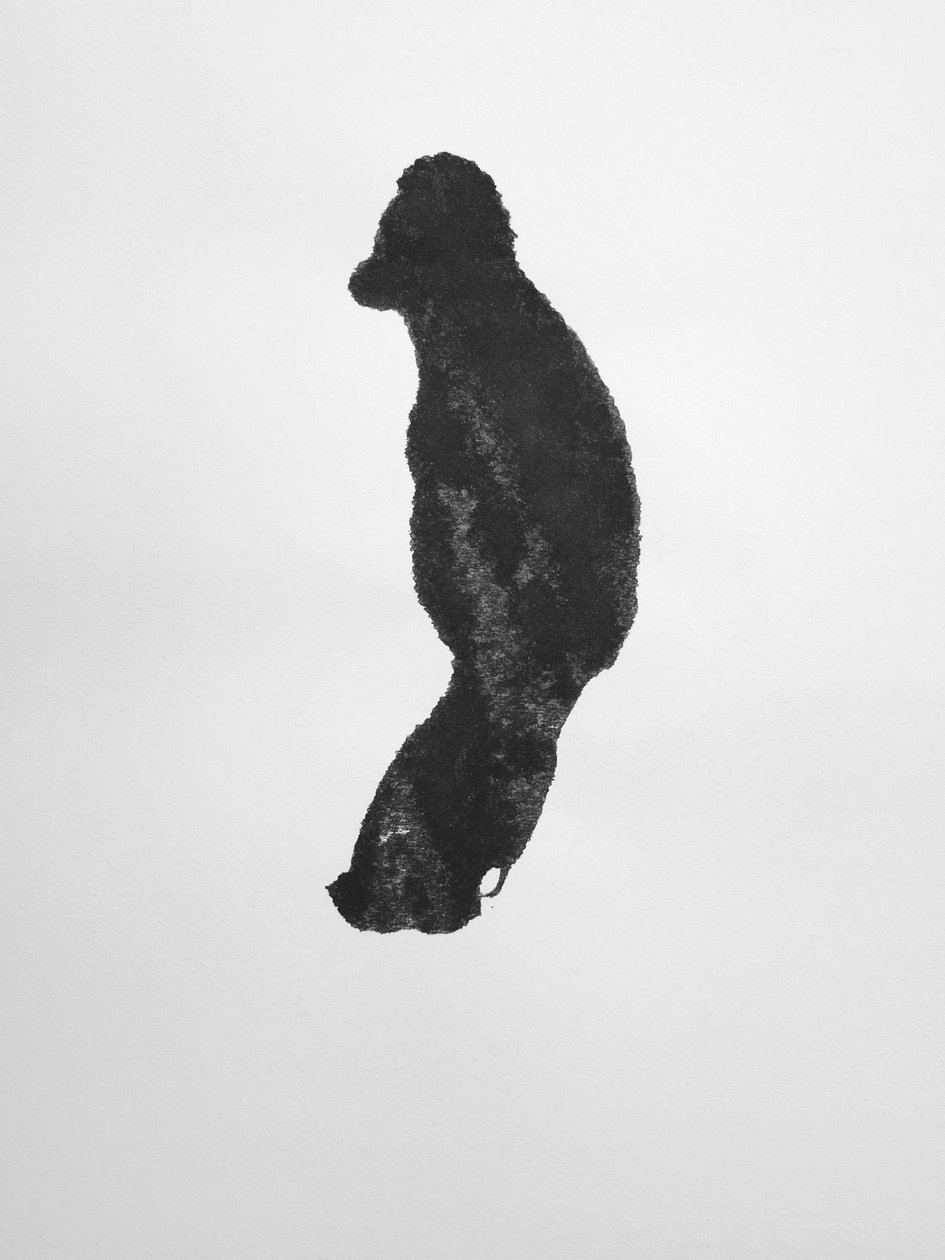 Sem título, 2009 (monotipia) de Richard Green