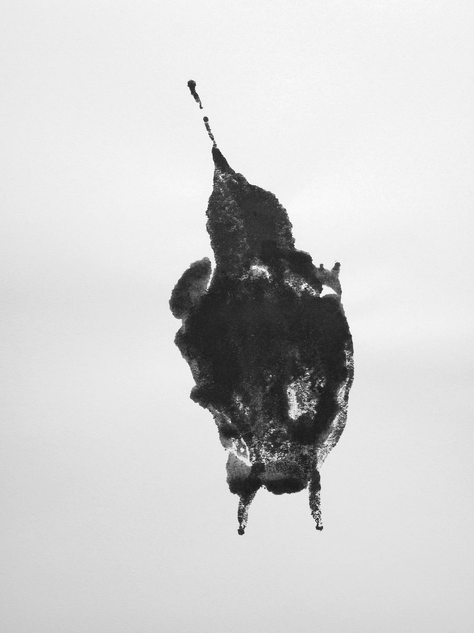 Sem título, 2009 (monotipia) de Richard Green