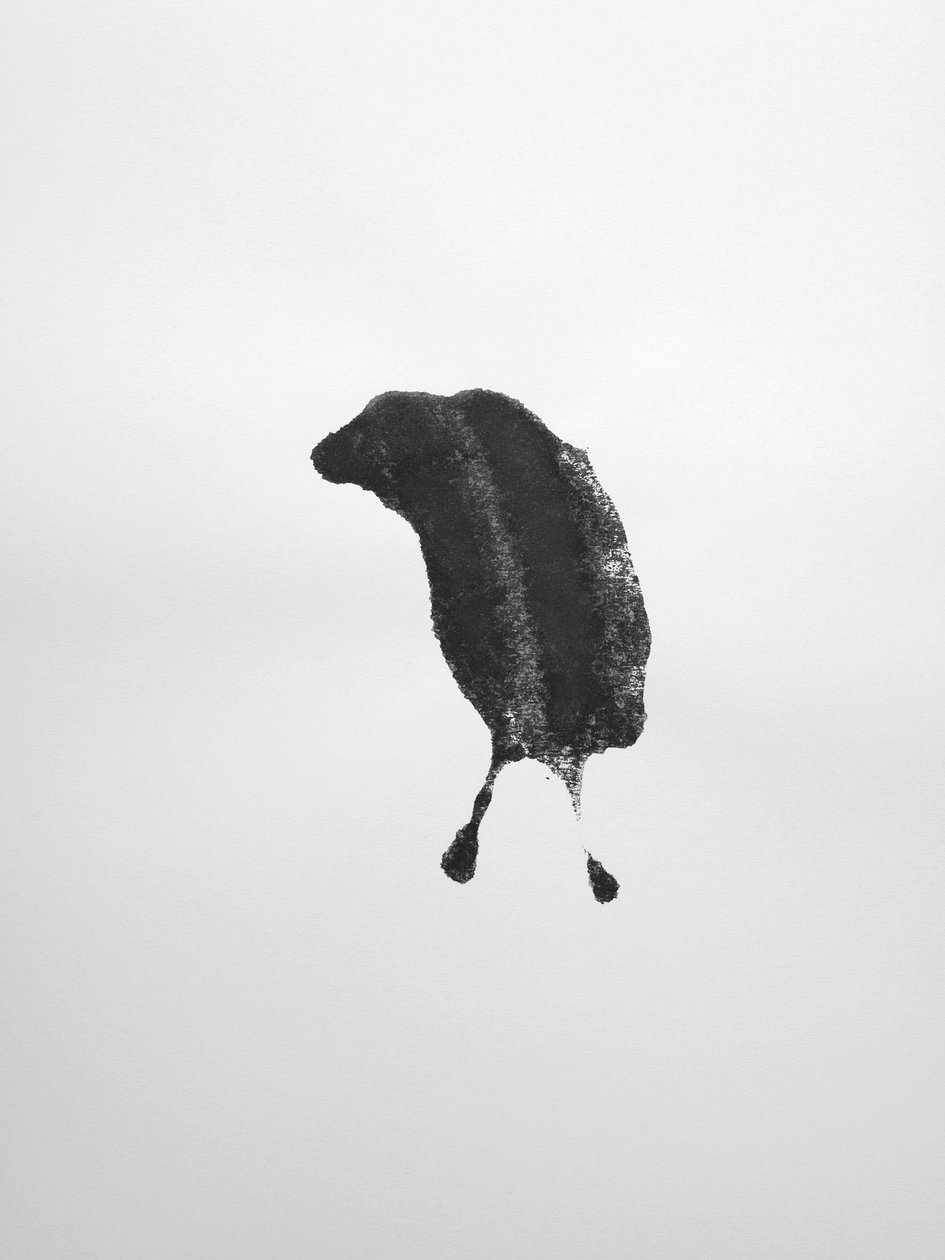 Sem título, 2009 (monotipia) de Richard Green