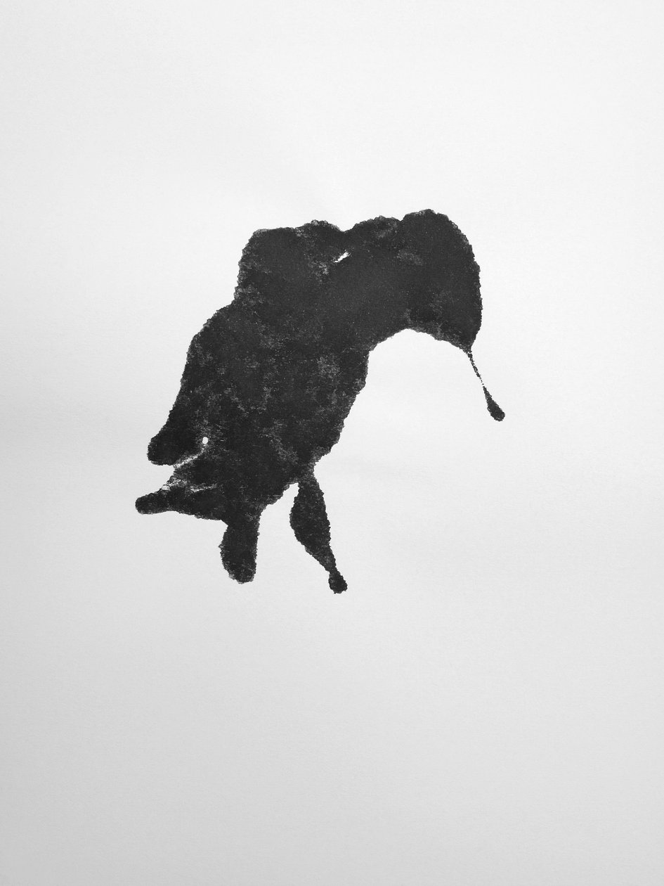 Sem título, 2009 (monotipia) de Richard Green