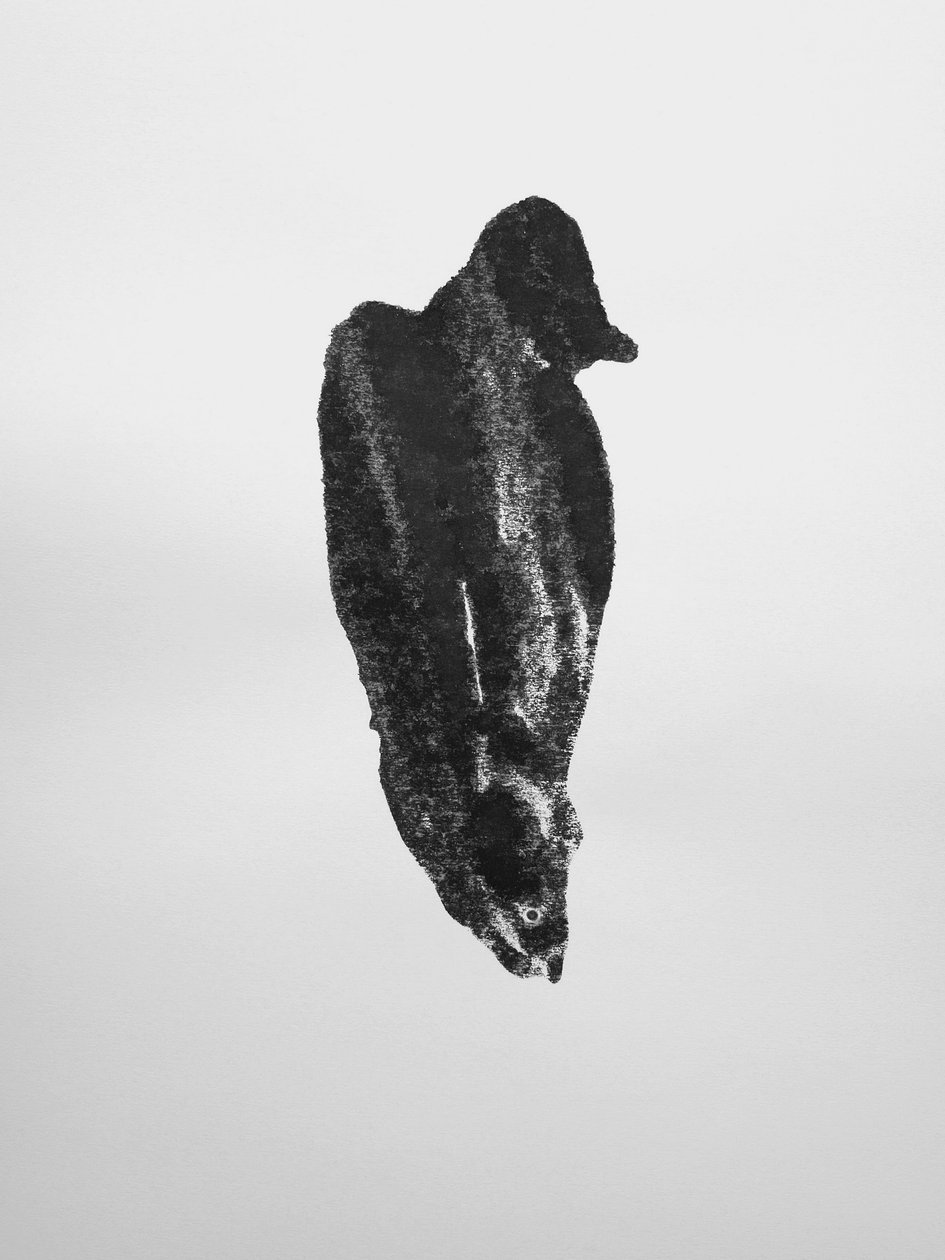Sem título, 2009 (monotipia) de Richard Green