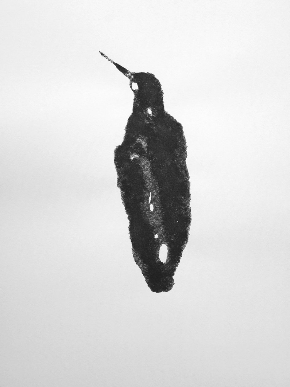 Sem título, 2009 (monotipia) de Richard Green