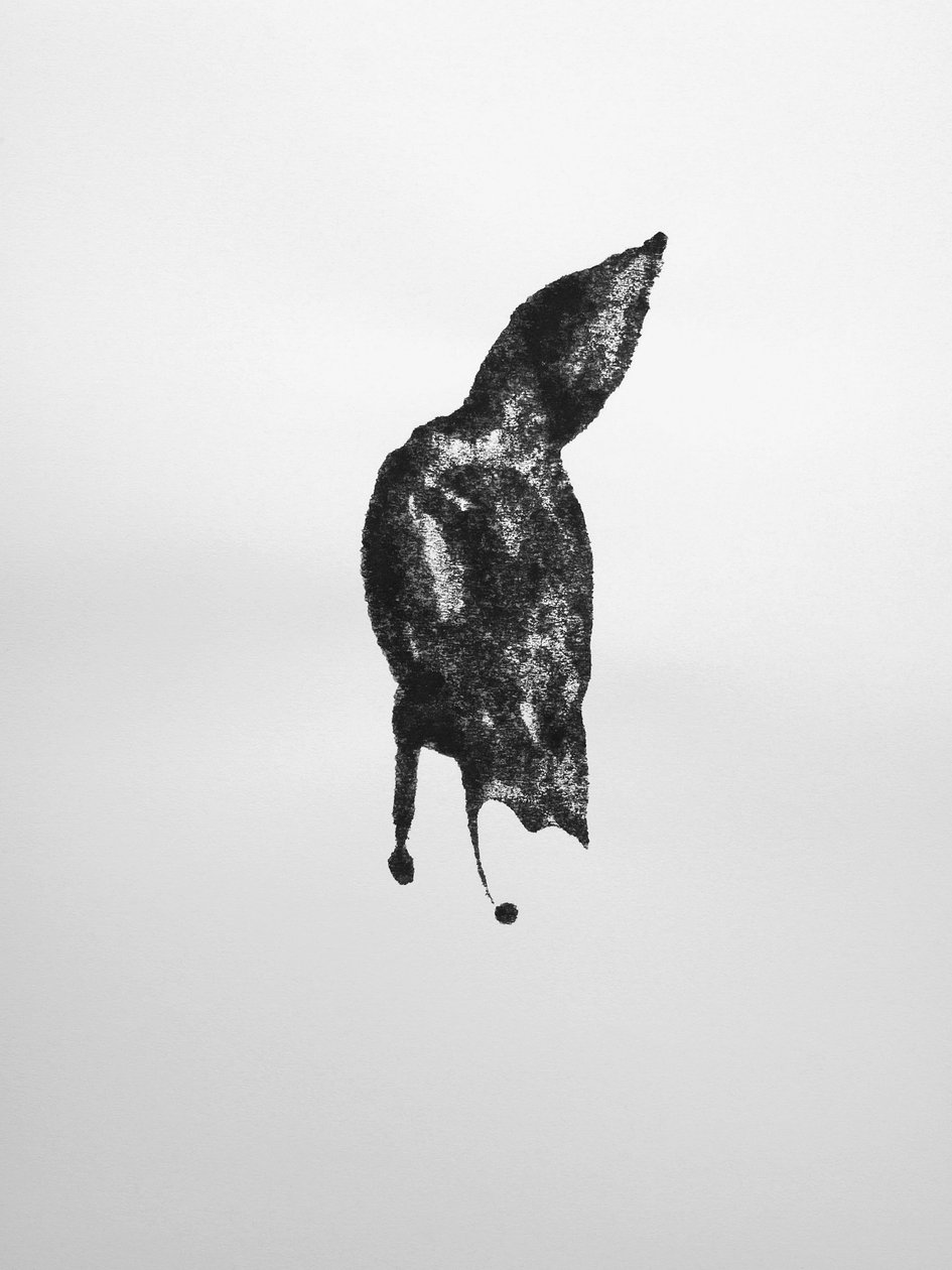 Sem título, 2009 (monotipia) de Richard Green