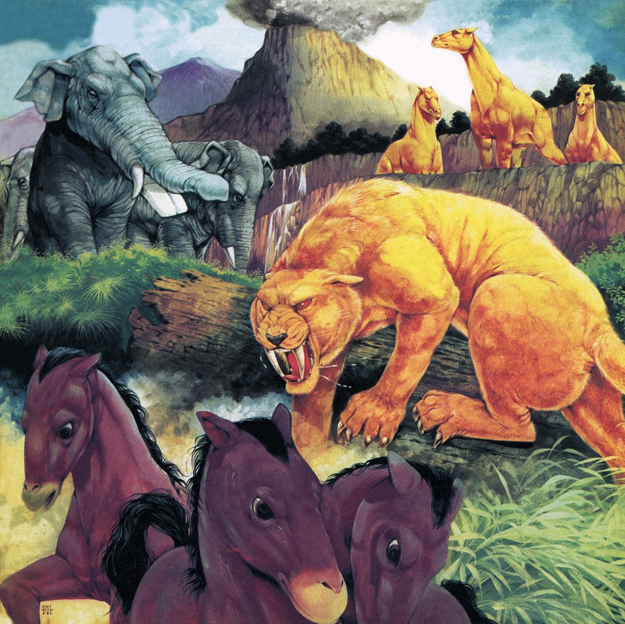Animais de longa data de Richard Hook