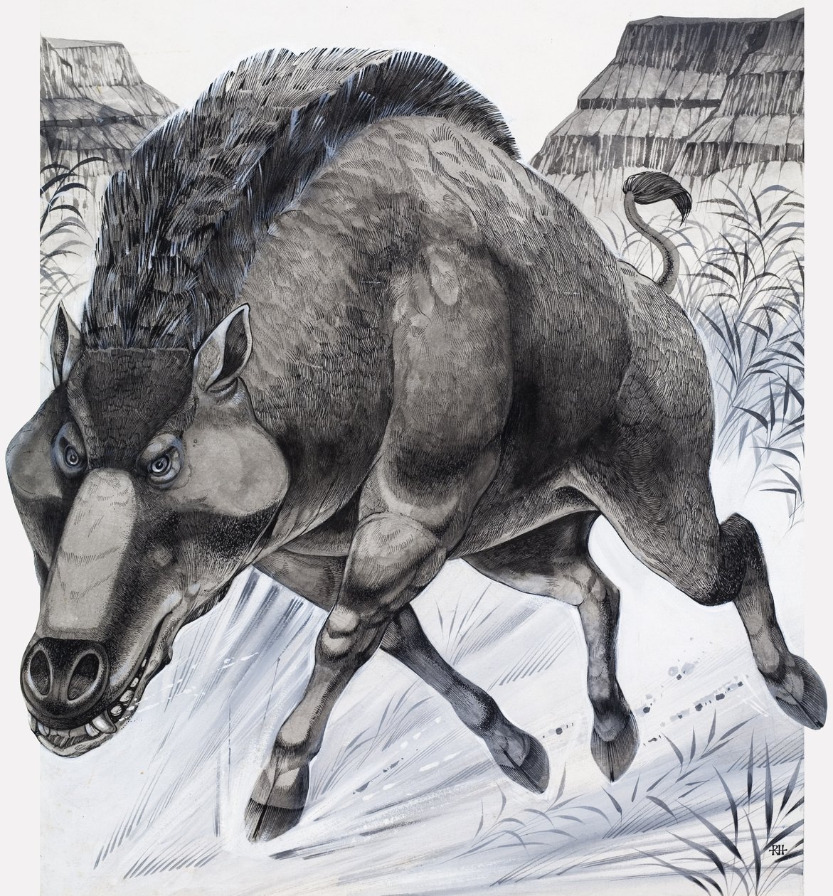 Daeodon (guache sobre papel) de Richard Hook