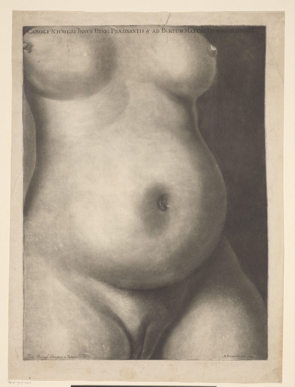 Torso de uma mulher grávida Seis estampas anatômicas de uma gravidez (título da série) Demonstrações de um útero grávido de uma mulher em tempo integral (...) (título da série) Caroli Nicolai Jenty Uteri Praegnantis & ad Partum Maturi Demonstrationes (séri de Richard Purcell