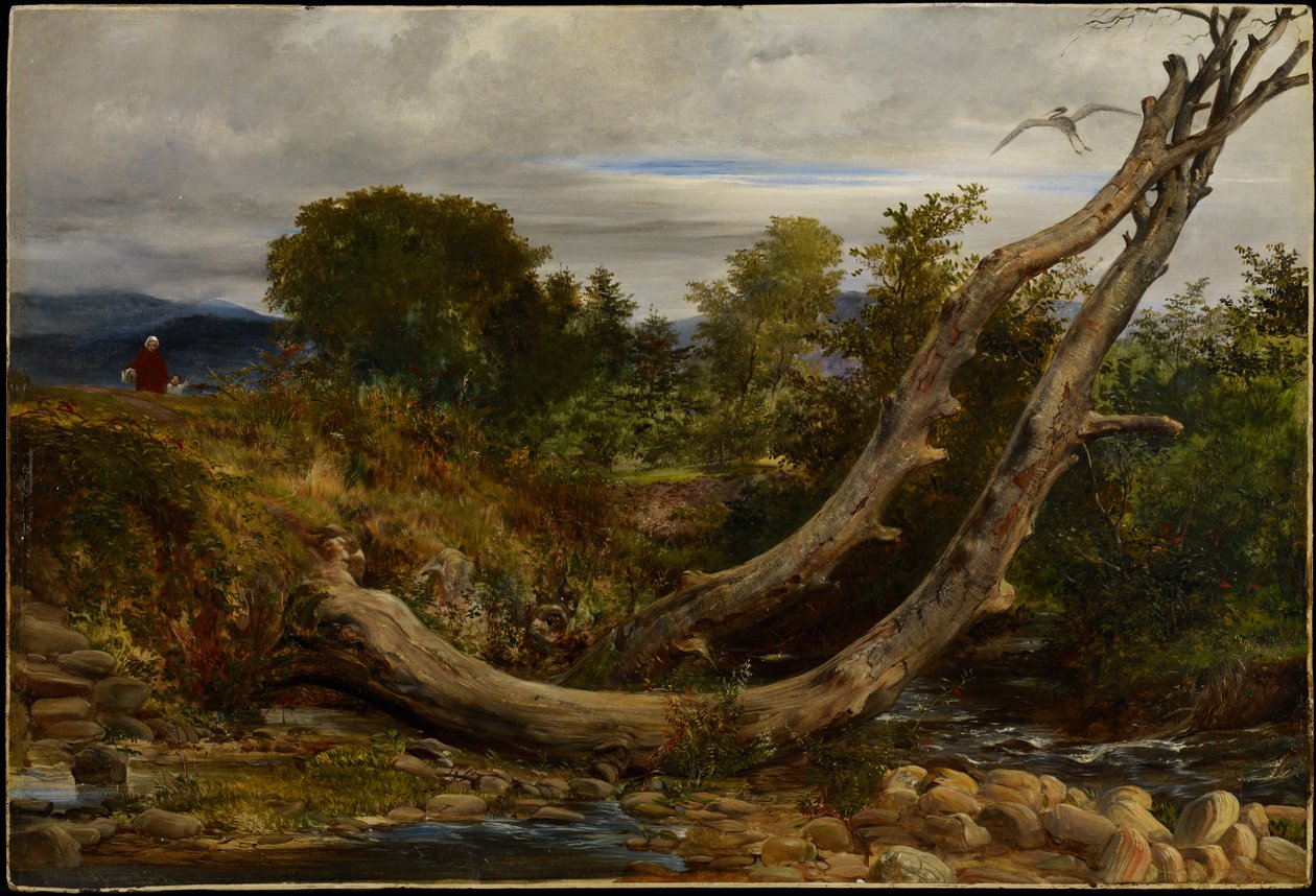 A Garça Perturbada, c.1850 (óleo no moinho) de Richard Redgrave