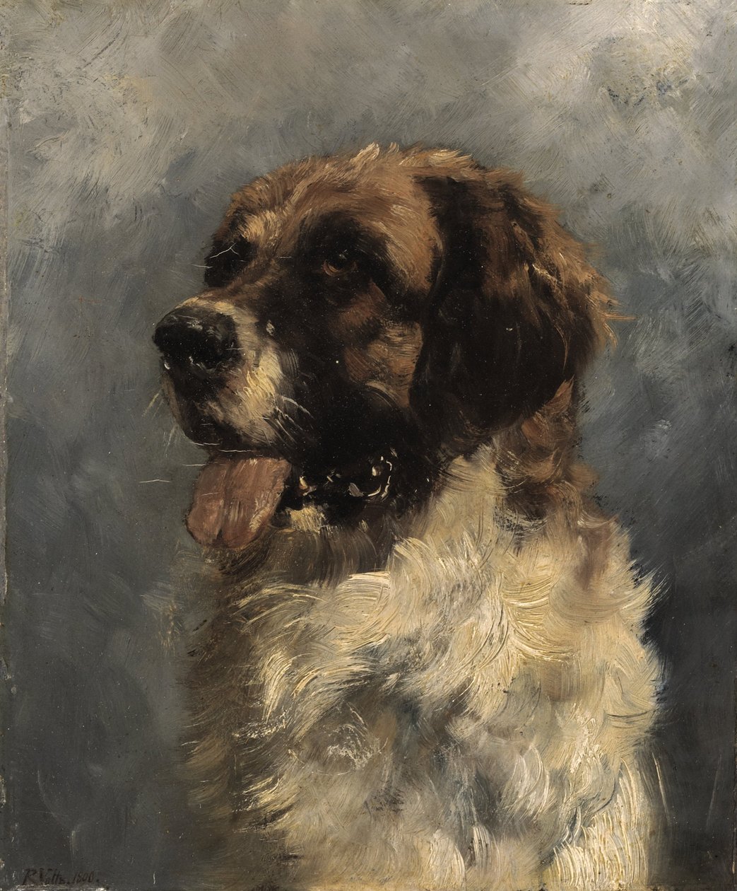 Cão de São Bernardo de Richard Voltz