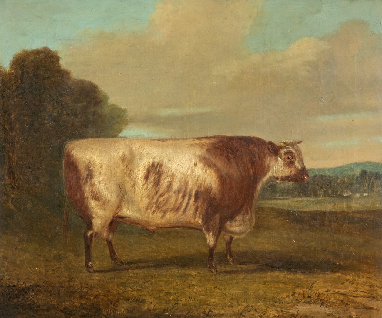 Um touro de 1862 de Richard Whitford