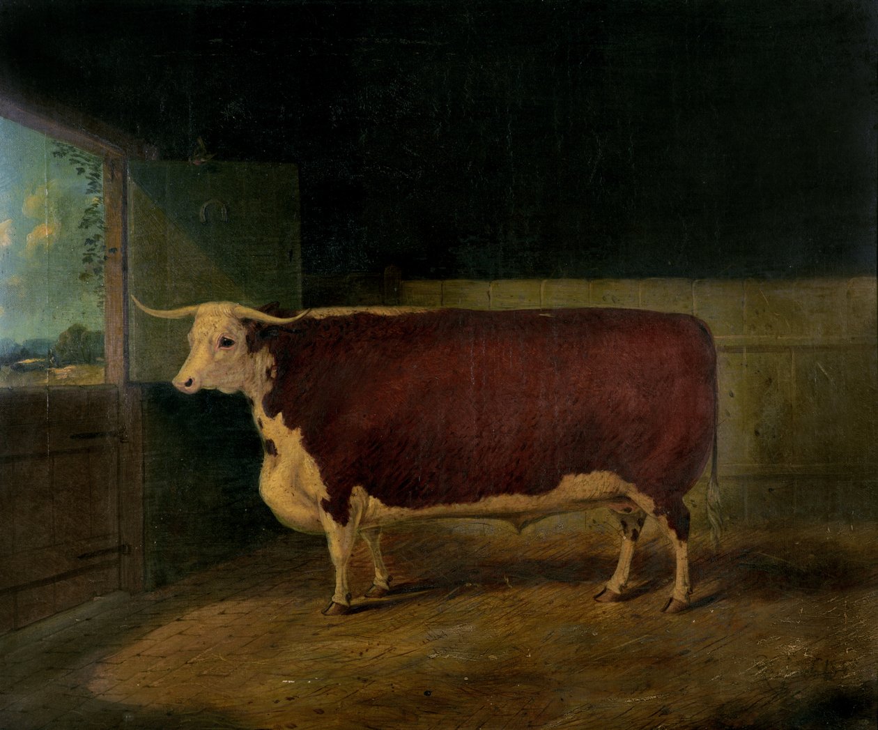 Retrato de um Prêmio Hereford Steer, 1874 de Richard Whitford