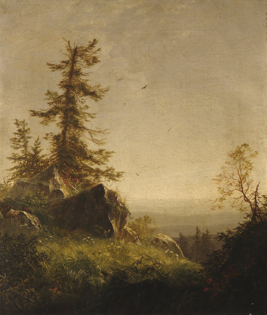 Manhã na Montanha, 1856. de Richard William Hubbard