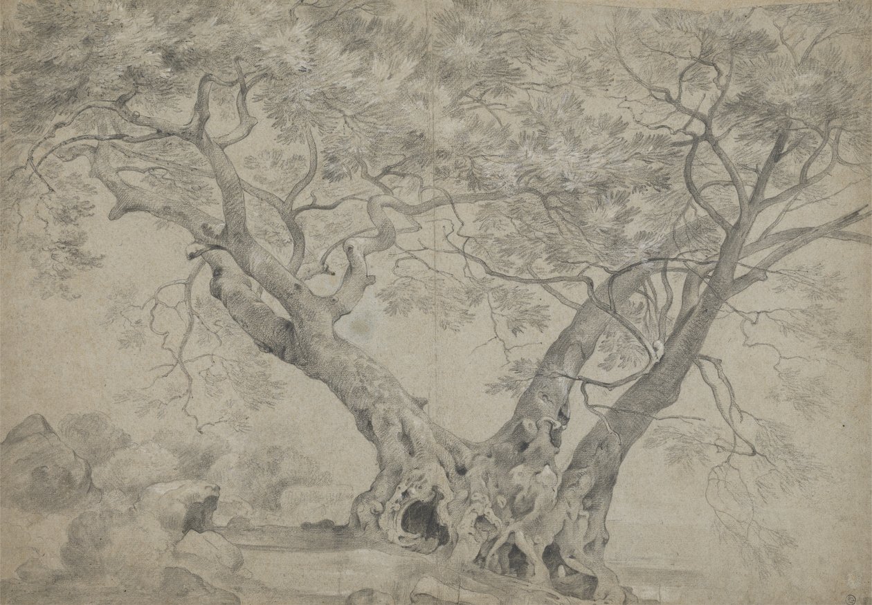 A Arbra Sacra nas margens do Lago Nemi, c.1754-56 (giz preto e branco sobre papel) de Richard Wilson