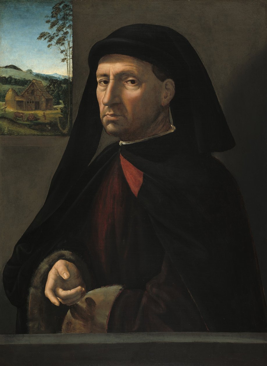 Retrato de um cavalheiro, c.1505 de Ridolfo Ghirlandaio