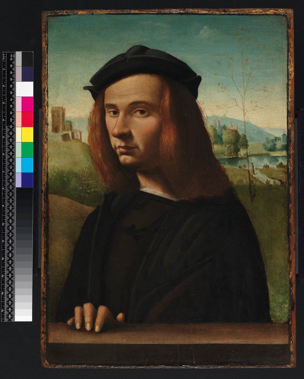 Retrato de um jovem, 1500 de Ridolfo Ghirlandaio