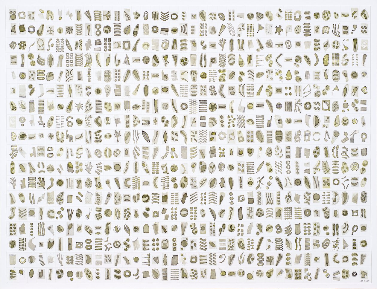 Micrarium No.10 , 2017 (tinta sobre papel) de Rika Newcombe