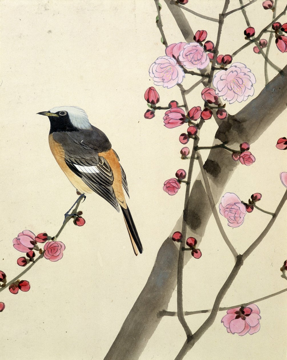 Pássaro - desenho japonês de Riou Chim, final do século XIX de Riu Chim