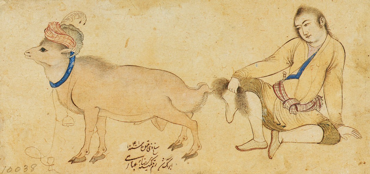 Estudo de um rapaz e um carneiro, 1630-31 ou mais tarde de Riza i Abbasi