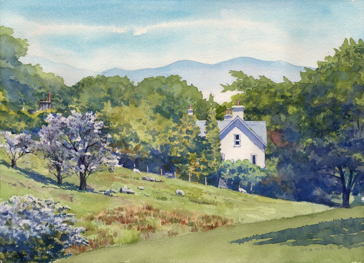 primavera na região dos lagos, 2016 (aguarela sobre papel) de Rob Wood