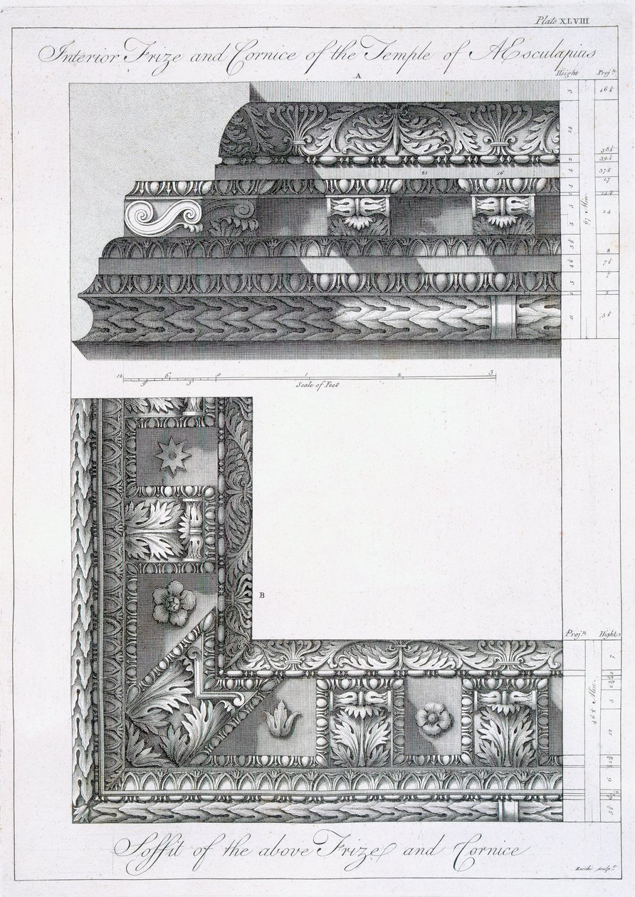 Friso interior e cornija do Templo de Esculápio, de &39;Ruínas do Palácio do Imperador Diocleciano em Spalatro na Dalmácia&39;, publicado em 1764 de Robert Adam