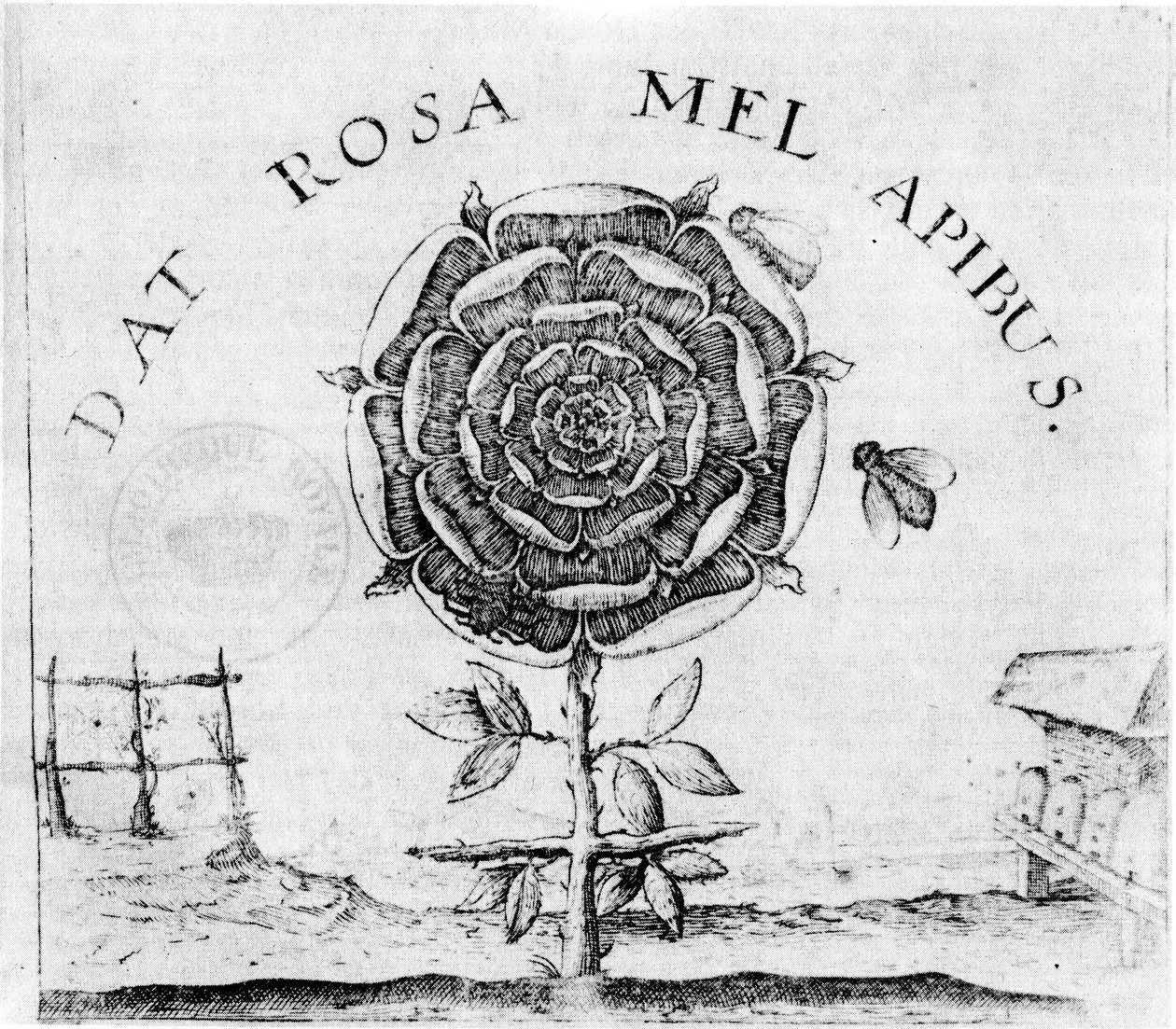 página do maior bem; de Robert Fludd