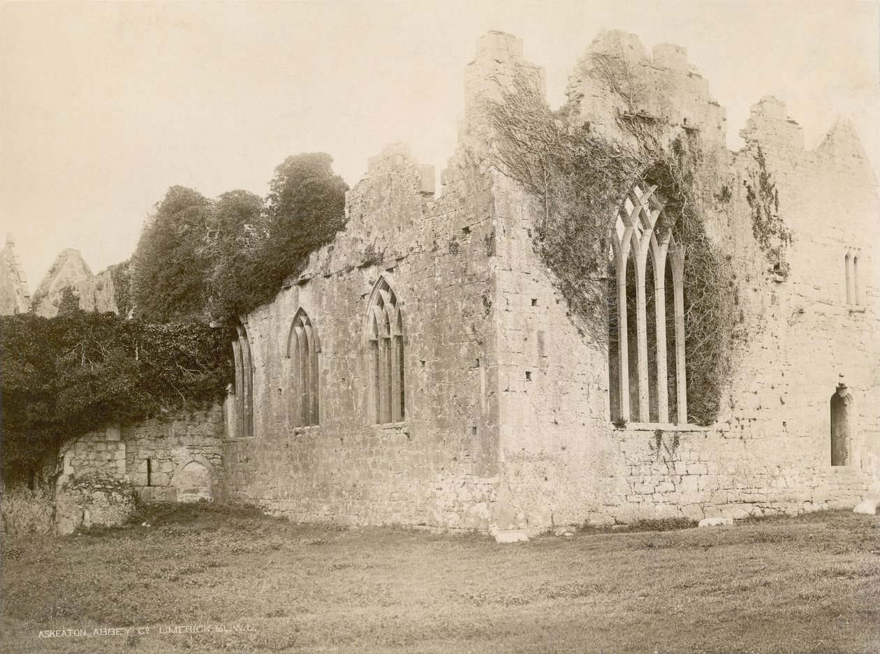Abadia de Askeaton (foto sépia) de Robert French