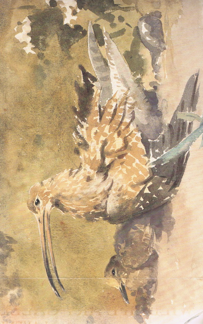 Maçarico e jovem de Robert George Talbot Kelly