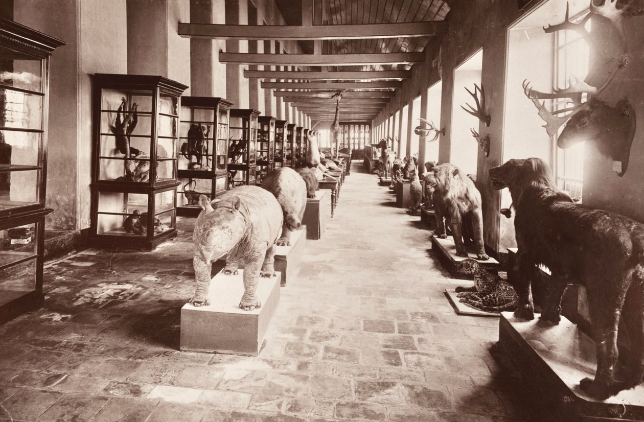O Museu Nacional em Bangkok, c.1890 de Robert Lenz