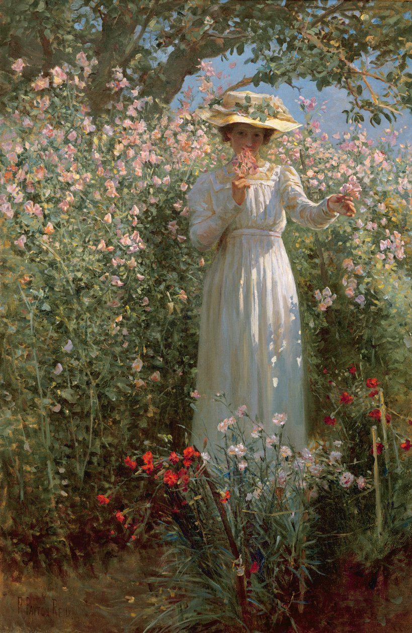 Entre as flores de Robert Payton Reid