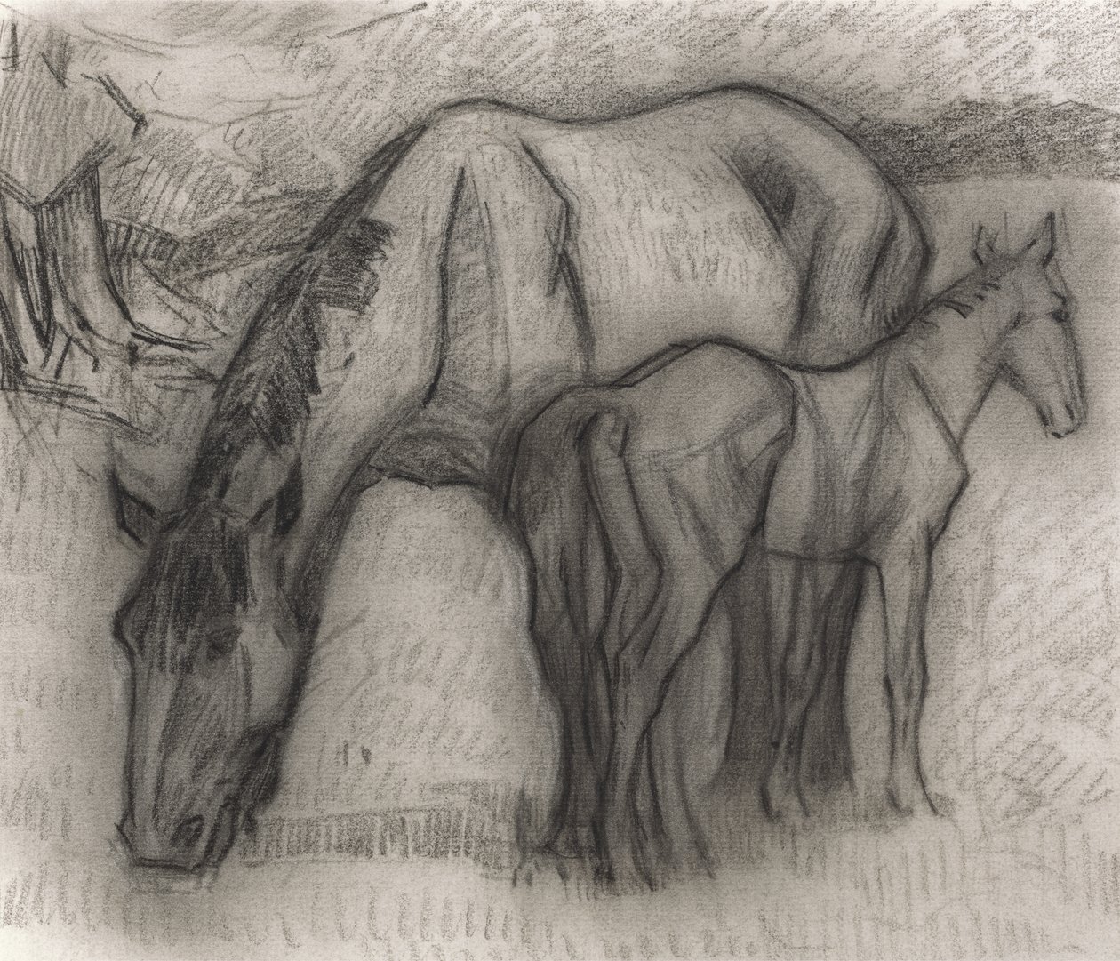Estudo para Mare e Potro, Lytchetts, Clayhidon, 1917 (lápis preto sobre papel) de Robert Polhill Bevan