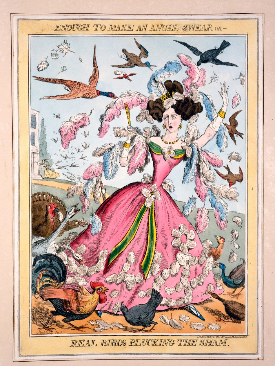 O suficiente para fazer um anjo jurar, ou, pássaros reais arrancando o sham, c.1830s (gravura colorida à mão) de Robert Seymour