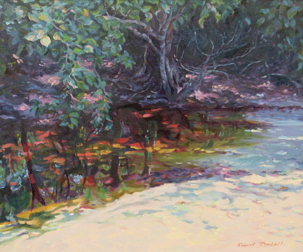 Praia, e, floresta tropical, capa, tribulação, norte, queensland, austrália de Robert Tyndall