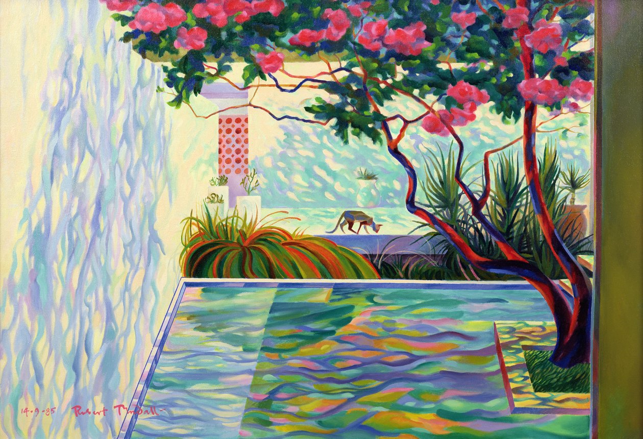 Gato em um jardim mexicano de Robert Tyndall