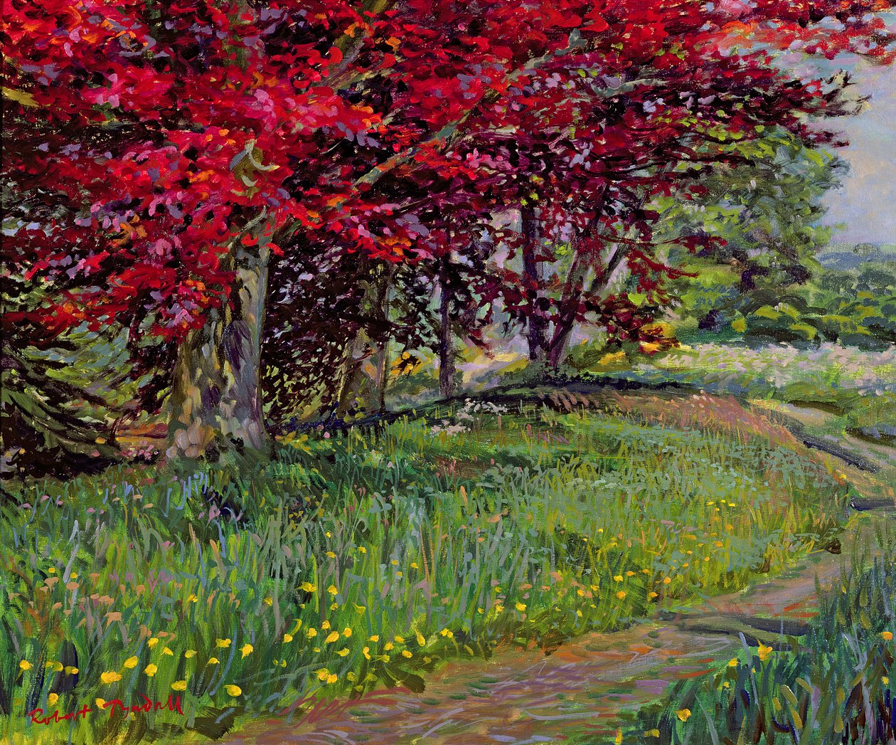 Faias de cobre, New Timber, Sussex de Robert Tyndall