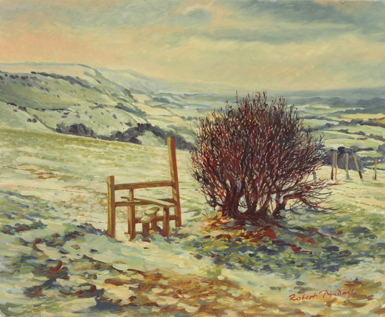 Sussex Stile, Inverno de 1996 de Robert Tyndall