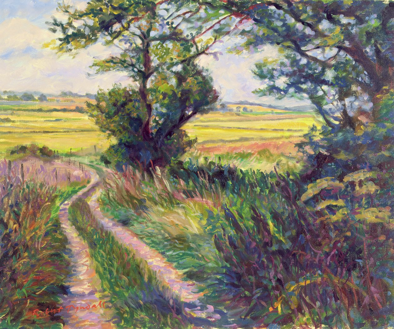 A trilha para Boleyns Farm, Kent de Robert Tyndall