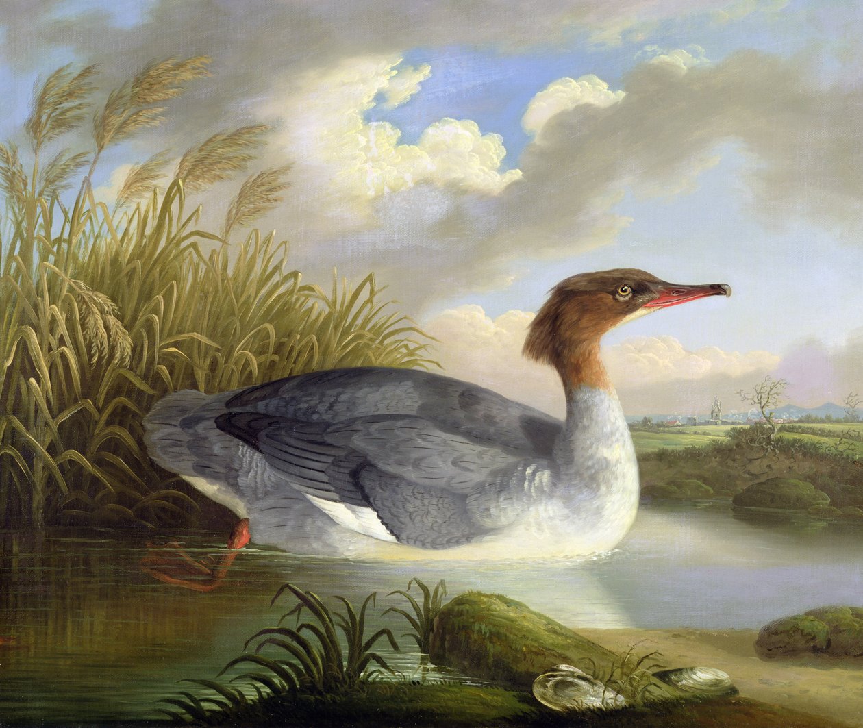 A Dun Diver (Mergulhador) de Robert Wilkinson Padley